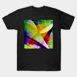 Tulip Bliss Colorful Abstract T-Shirt